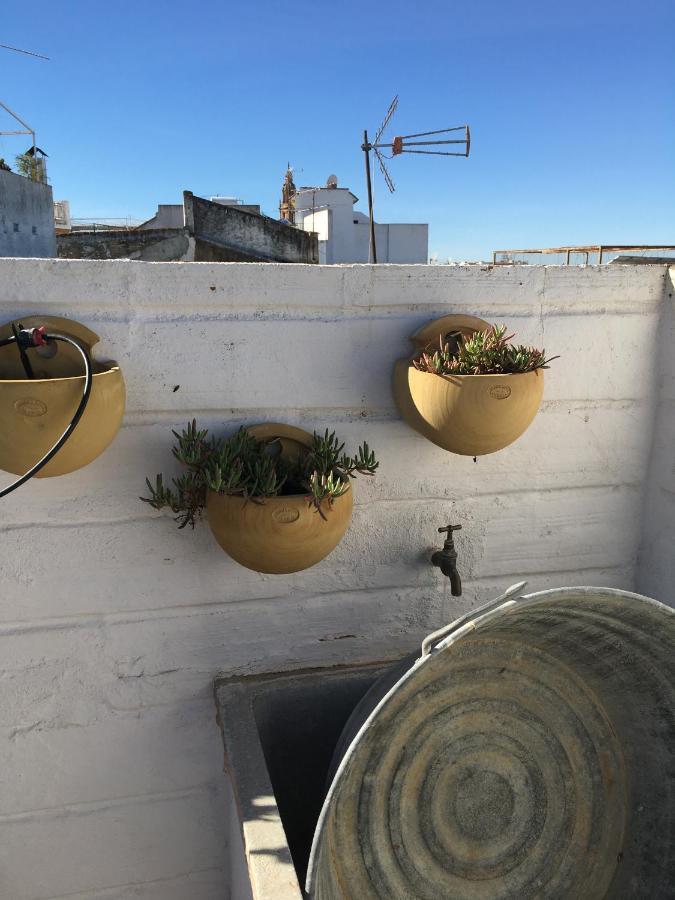 Casa Leon Blanco Carmona Reformada Centrica Con Chimenea Y Terraza Con Vistas Villa Екстериор снимка